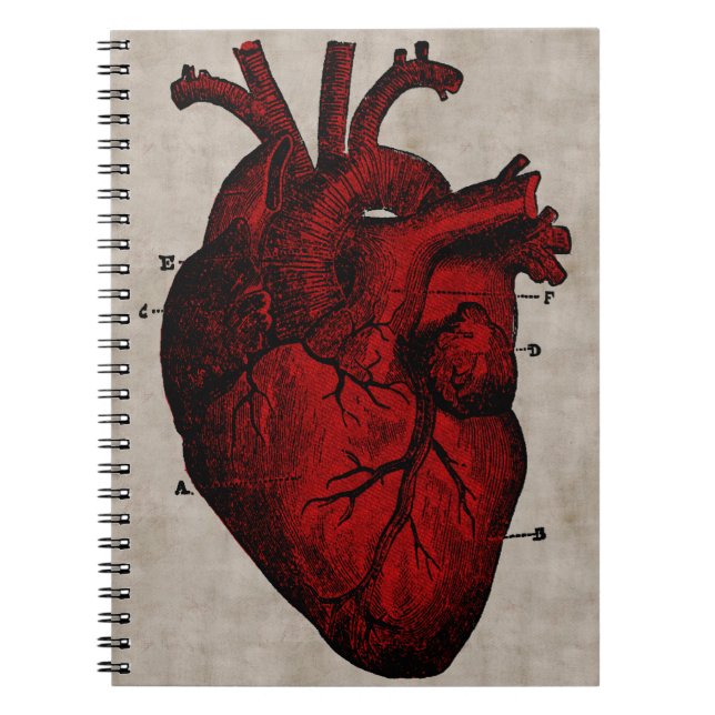 Human Heart Notebook (Front)