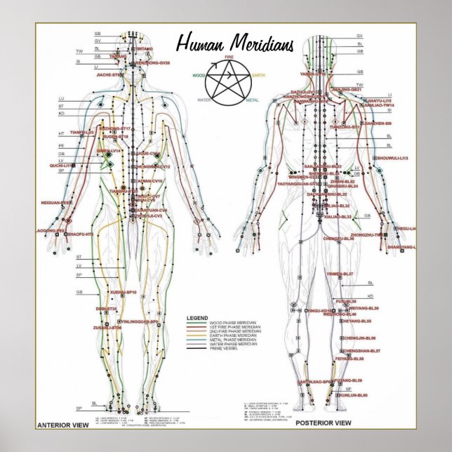 Human Meridians & Pressure Point Chart Poster (Front)