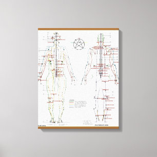 Human Meridians & Pressure Pt Chart wrapped Canvas