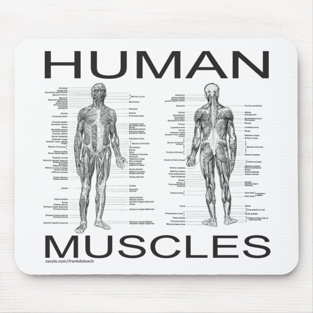Human Muscles and Anatomy Mouse Pad (Front)