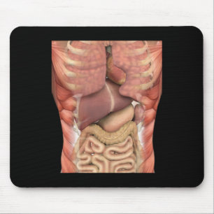 Human Muscles Organs Scary Anatomy Teacher Hallowe Mouse Pad