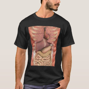 Human Muscles Organs Scary Anatomy Teacher Hallowe T-Shirt