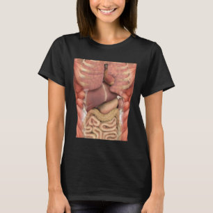 Human Muscles Organs Scary Anatomy Teacher Hallowe T-Shirt