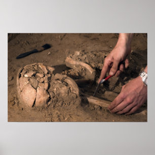 Human remains poster