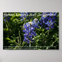 Human Resource Staff Development Blue Bonnets