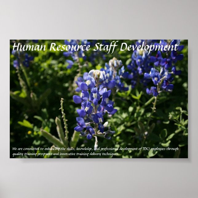 Human Resource Staff Development Blue Bonnets Poster (Front)