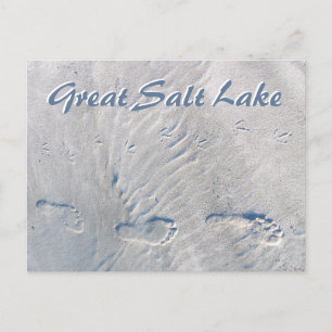 Human, Seagull Footprints in Sand Great Salt Lakea Postcard