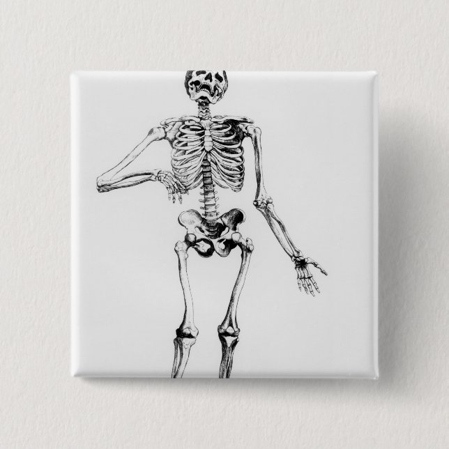 Human Skeleton 15 Cm Square Badge (Front)