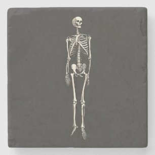 Human Skeleton Anatomy Pop Art Comic Drawing Stone Coaster
