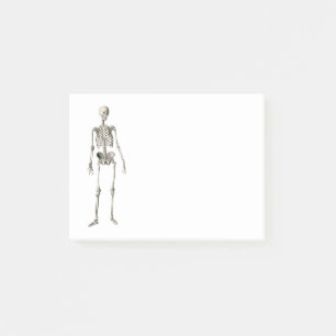 Human skeleton for Boy Girl Birthday Gift Post-it Notes