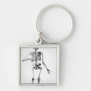 Human Skeleton Key Ring