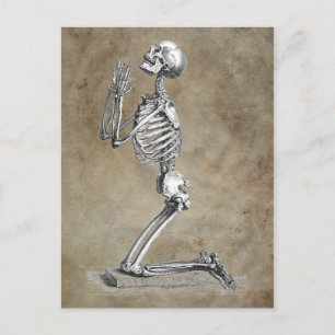 Human Skeleton Kneeling in Prayer Postcard