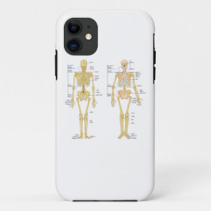 Human Skeleton labelled anatomy chart iPhone 11 Case
