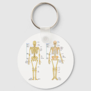 Human Skeleton labelled anatomy chart Key Ring