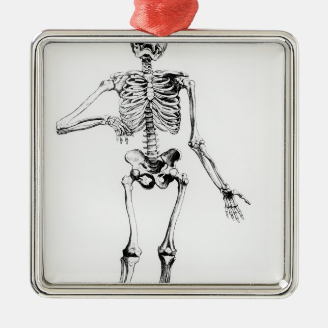 Human Skeleton Metal Ornament (Front)