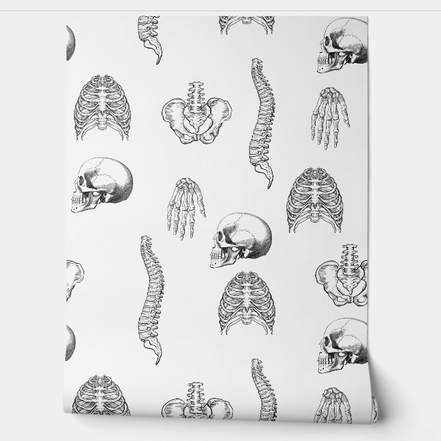 Human Skeleton Pattern Wallpaper (Unrolling)