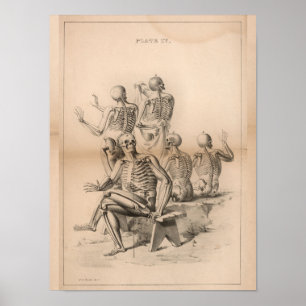 Human Skeletons Vintage Anatomy Art Print 1827