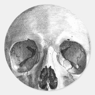 Human skull anatomy sketch drawing classic round sticker