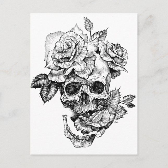 Human skull and roses black ink drawing postcard (Front)