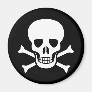 Human skull magnet