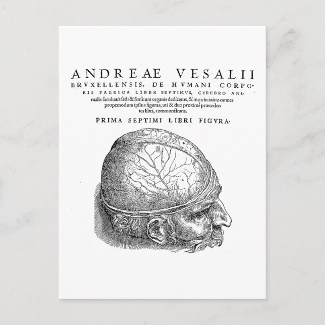 Human Skull Postcard (Front)