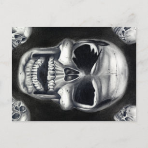 Human Skulls Black Postcard