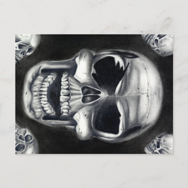 Human Skulls Black Postcard (Front)