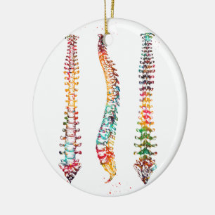 Human Spine Ceramic Ornament