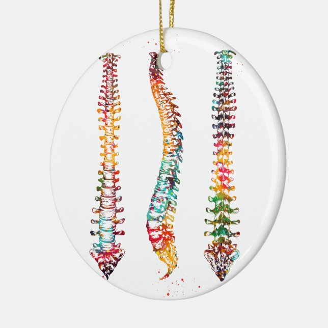 Human Spine Ceramic Ornament (Left)