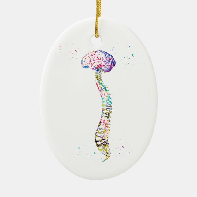 Human Spine with Brain Ceramic Ornament (Front)