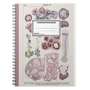 Human Tissue Histology Atlas Notebook