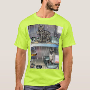 Humane Society for Cats first T-Shirt
