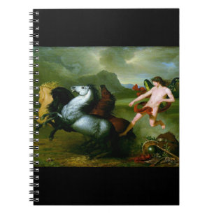Humanitarian Spirit circa 1793 Notebook