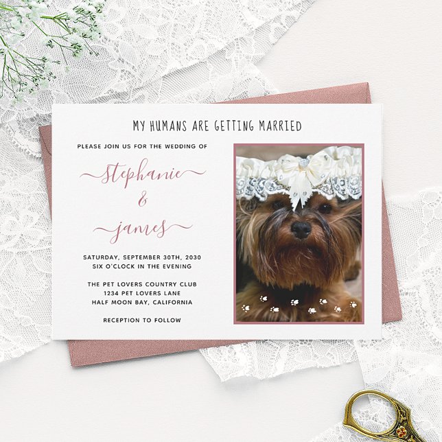 Humans Getting Married Pet Photo Rose Gold Wedding Invitation (Creator Uploaded)