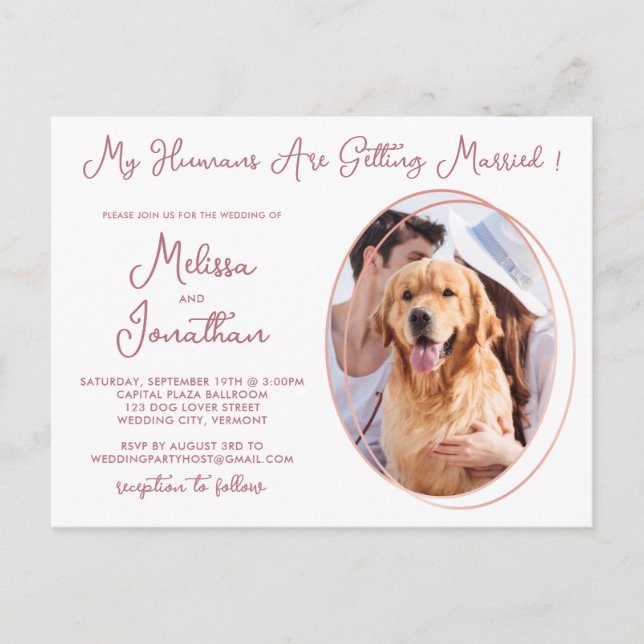 Humans Getting Married Pet Photo Rose Gold Wedding Invitation Postcard (Front)