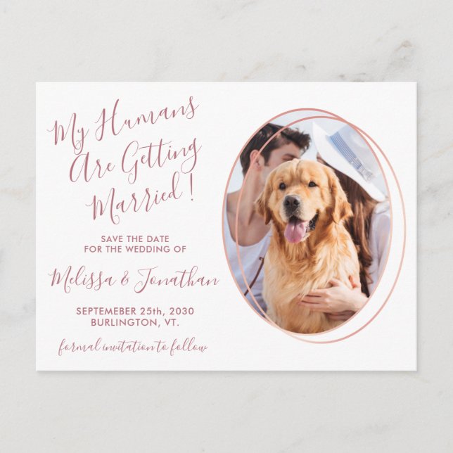 Humans Getting Married Photo Pet Wedding Rose Gold Announcement Postcard (Front)