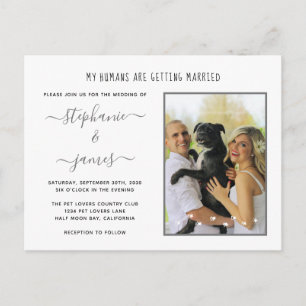Humans Getting Married Silver Pet Photo Wedding Invitation Postcard