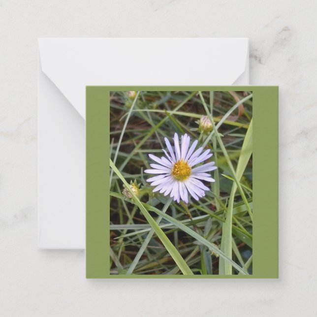 Humble daisy photo card (Front)