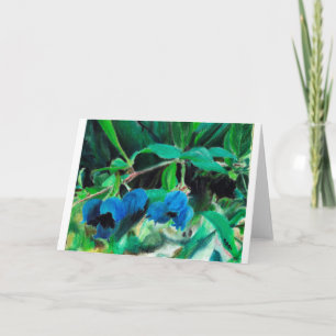 "Humboldt Blueberries" by Amber Larsen Card