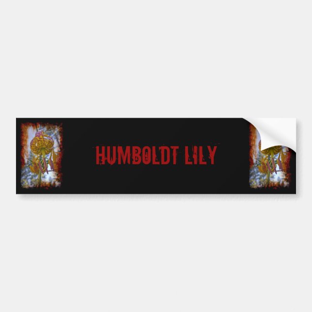 Humboldt Lily Bumper Sticker (Front)