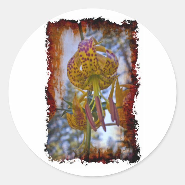 Humboldt Lily Classic Round Sticker (Front)