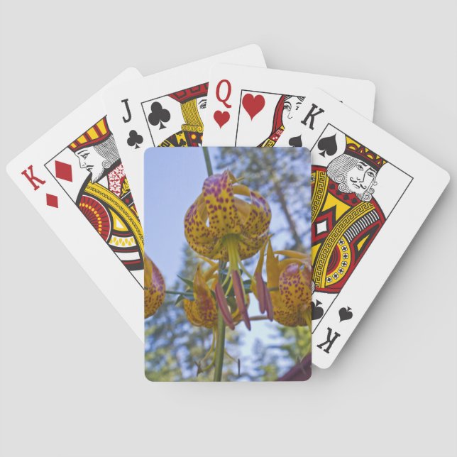 Humboldt Lily Playing Cards (Back)