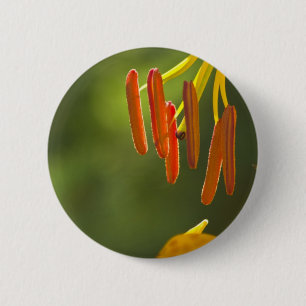 Humboldt Lily Stamens 6 Cm Round Badge