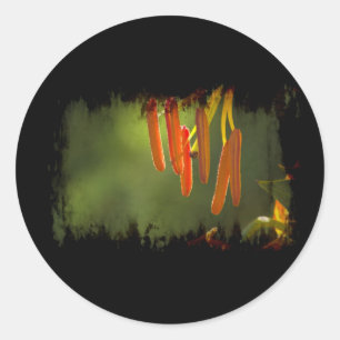 Humboldt Lily Stamens Classic Round Sticker