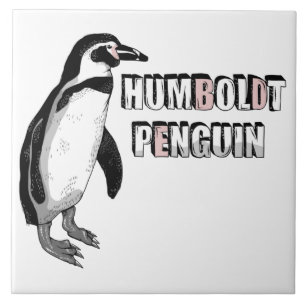 Humboldt penguin ceramic tile