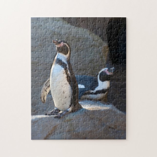 Humboldt Penguin Jigsaw puzzle (Vertical)