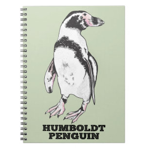 Humboldt penguin notebook
