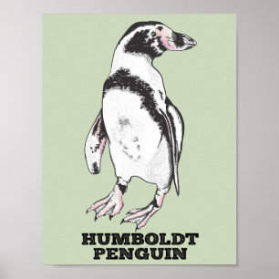 Humboldt penguin poster