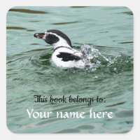 Humboldt Penguin "This book belongs to" Sticker