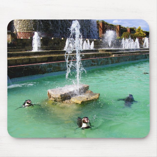 Humboldt penguins and fountains bird mouse pad (Front)